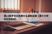 满16周岁可以办理什么贷款业务(满十六岁可以贷款吗) 满16周岁可以办理什么贷款业务(满十六岁可以贷款吗)