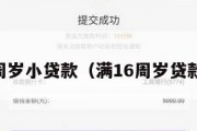 满16周岁小贷款(满16周岁贷款软件) 满16周岁小贷款(满16周岁贷款软件)