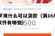 满16周岁用什么可以贷款(满16周岁可以贷款的软件有哪些) 满16周岁用什么可以贷款(满16周岁可以贷款的软件有哪些)