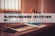 满16周岁的小额正规贷款(满十六岁小额贷款) 满16周岁的小额正规贷款(满十六岁小额贷款)