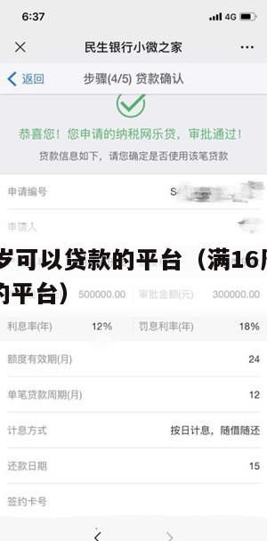 满16周岁可以贷款的平台(满16周岁就可以贷款的平台)