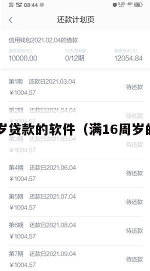 满16周岁贷款的软件(满16周岁的正规贷款软件)