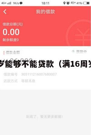 满16周岁能够不能贷款(满16周岁能贷款吗?)