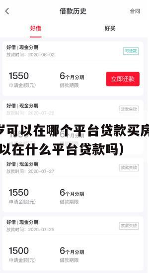 满16周岁可以在哪个平台贷款买房(已满16周岁可以在什么平台贷款吗)