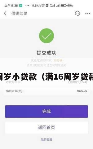 满16周岁小贷款(满16周岁贷款软件)