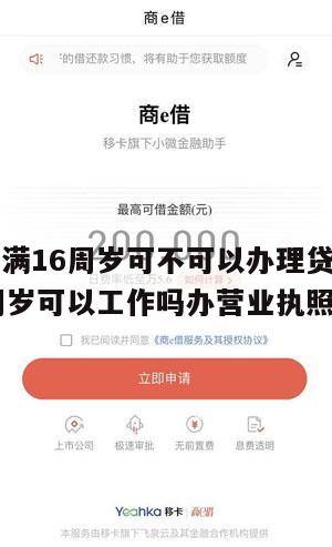 营业执照满16周岁可不可以办理贷款业务(年满16周岁可以工作吗办营业执照)