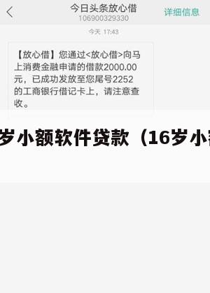 满16周岁小额软件贷款(16岁小额贷款app)