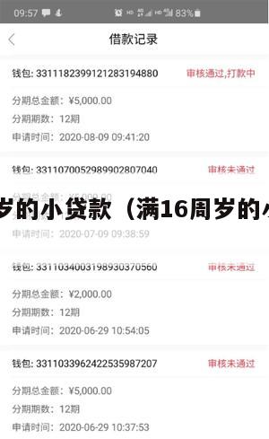 满16周岁的小贷款(满16周岁的小贷款怎么还)