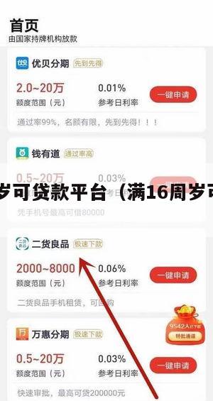 满16周岁可贷款平台(满16周岁可贷款的平台)