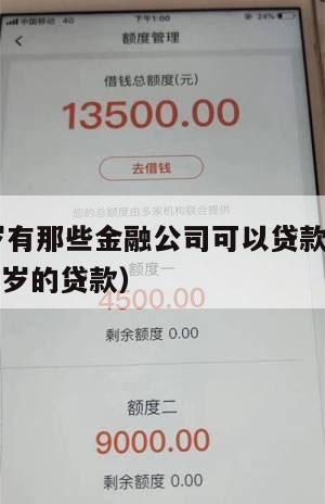 满16周岁有那些金融公司可以贷款(有什么满十六周岁的贷款)