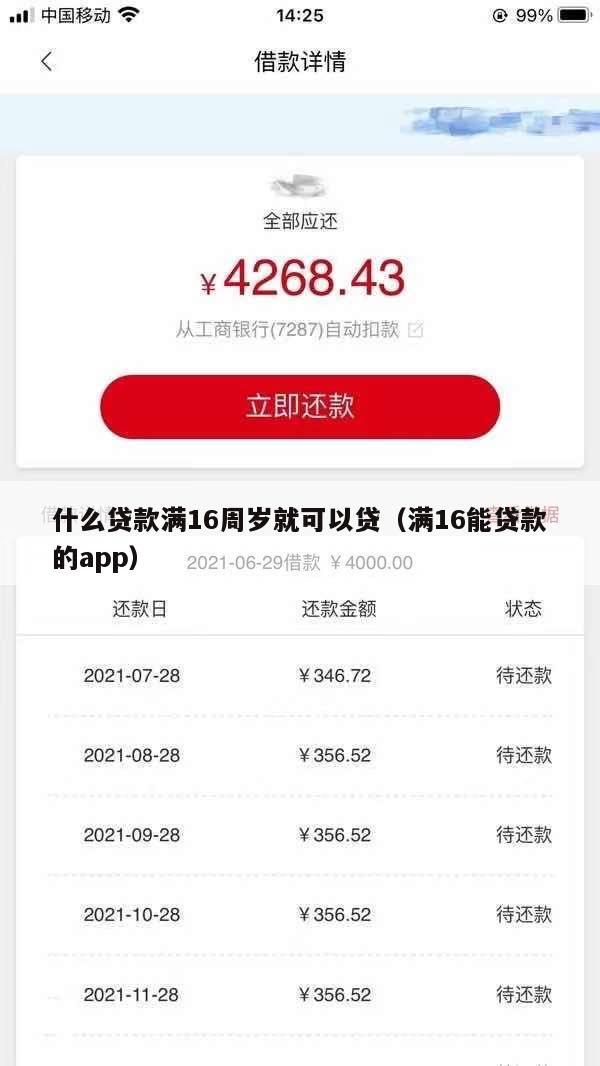 什么贷款满16周岁就可以贷(满16能贷款的app)