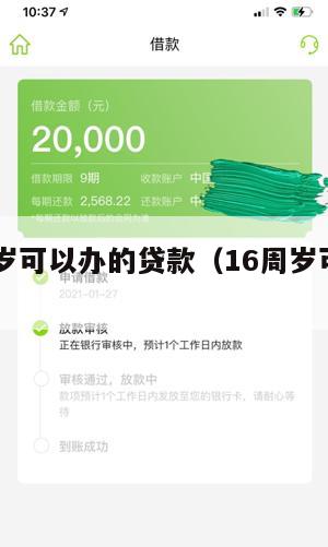 满16周岁可以办的贷款(16周岁可以申请的贷款)