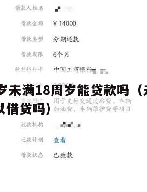 满16周岁未满18周岁能贷款吗(未满十六周岁可以借贷吗)