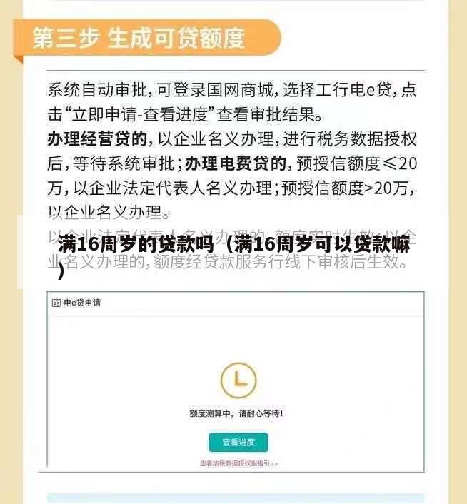 满16周岁的贷款吗(满16周岁可以贷款嘛)