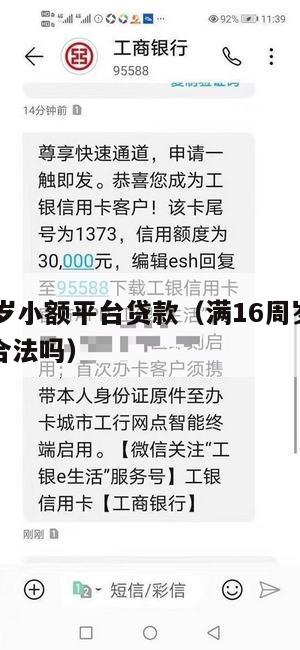 满16周岁小额平台贷款(满16周岁小额平台贷款合法吗)