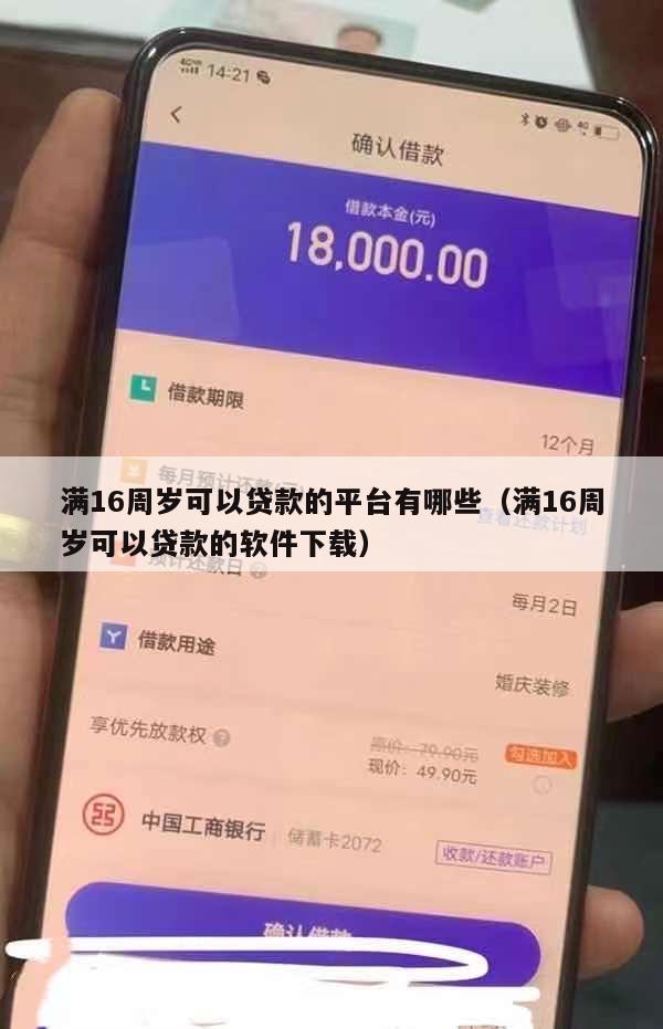 满16周岁可以贷款的平台有哪些(满16周岁可以贷款的软件下载)