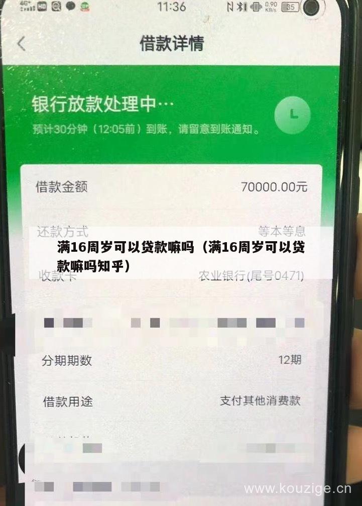 满16周岁可以贷款嘛吗(满16周岁可以贷款嘛吗知乎)