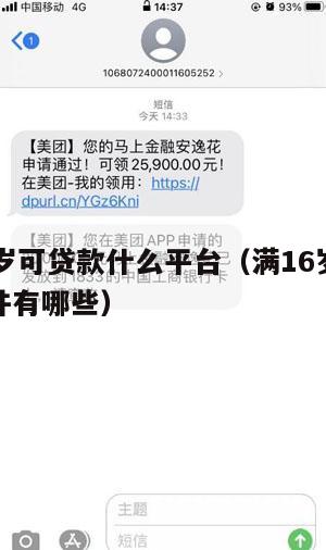 满16周岁可贷款什么平台(满16岁可以贷款的软件有哪些)