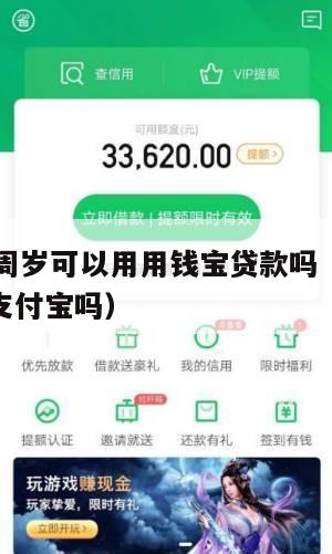 我满16周岁可以用用钱宝贷款吗(满16周岁能用支付宝吗)