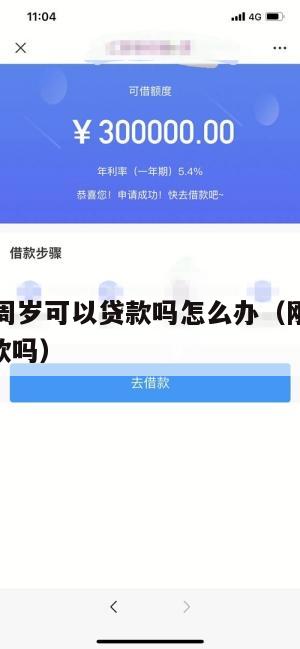 满了16周岁可以贷款吗怎么办(刚满16岁可以贷款吗)