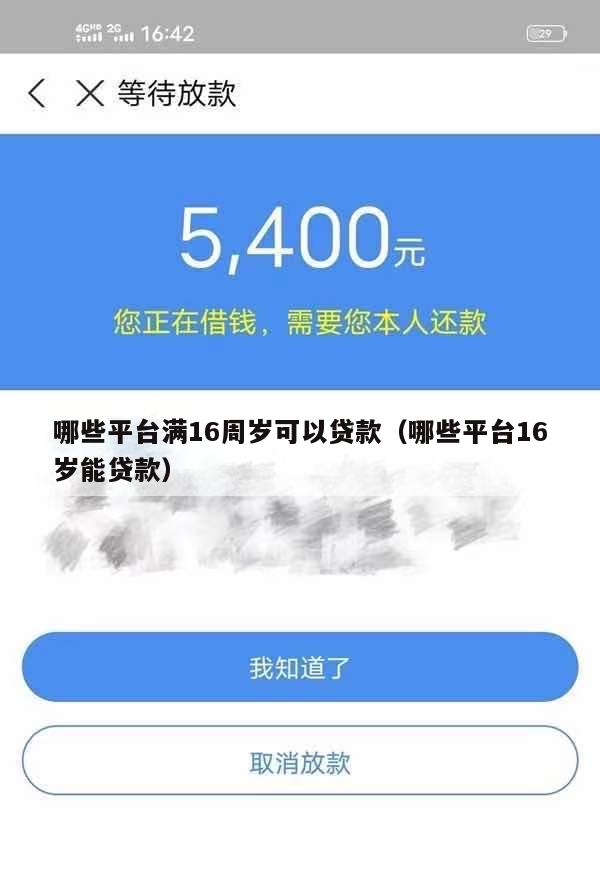 哪些平台满16周岁可以贷款(哪些平台16岁能贷款)