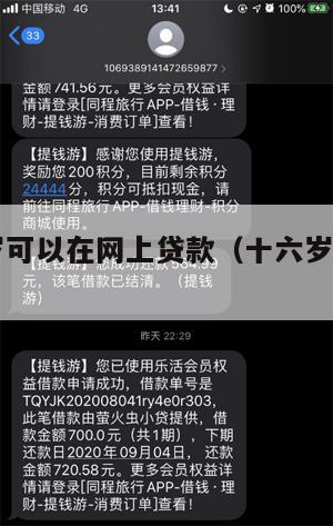 满16周岁可以在网上贷款(十六岁能网上贷款吗)
